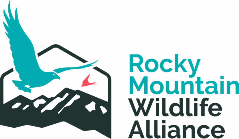 Rocky Mountain Wildlife Alliance logo